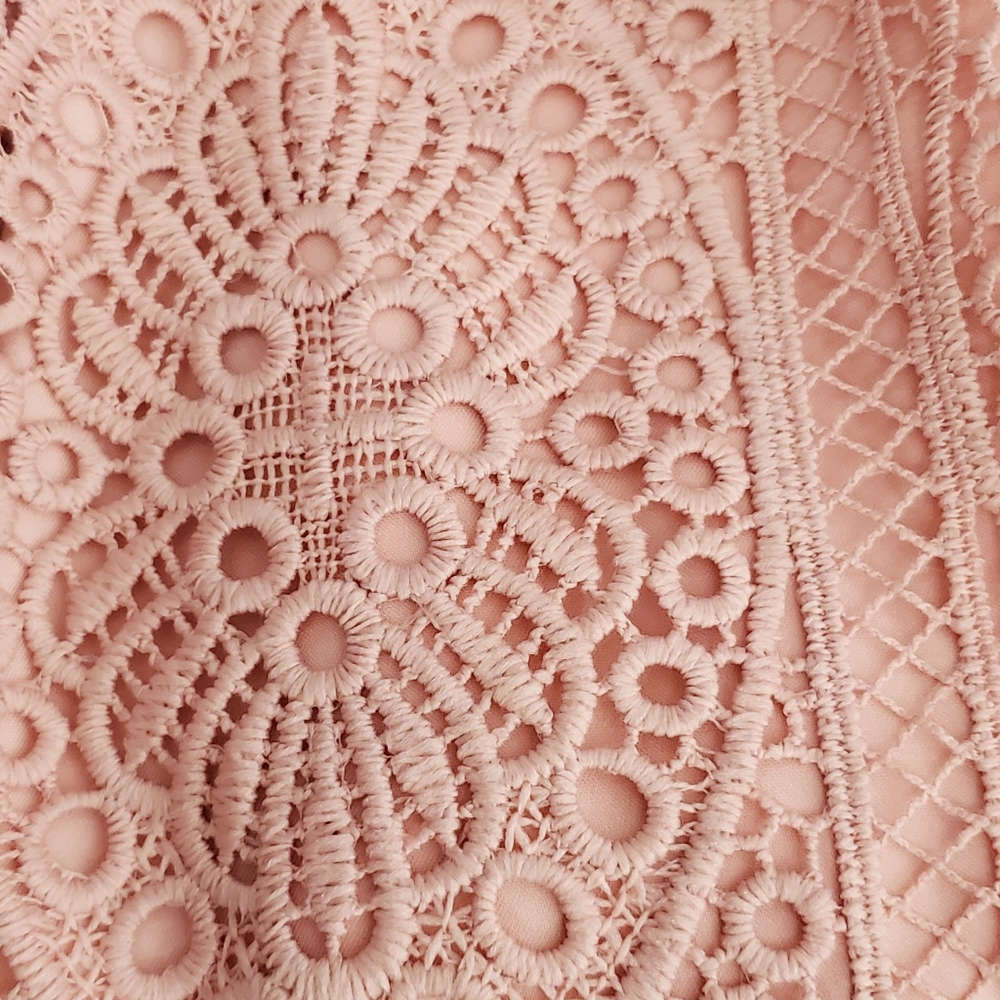ANTONIO MELANI Blush Pink Lace Shirt Dress - Picture 9 of 14